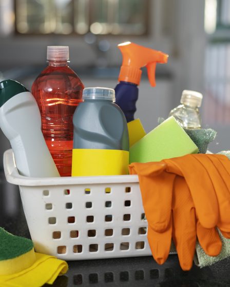 4 dicas para criar rótulos de produtos de limpeza que se destaquem
